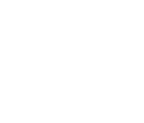 steady-steps-halfway-house-sober-logo-white